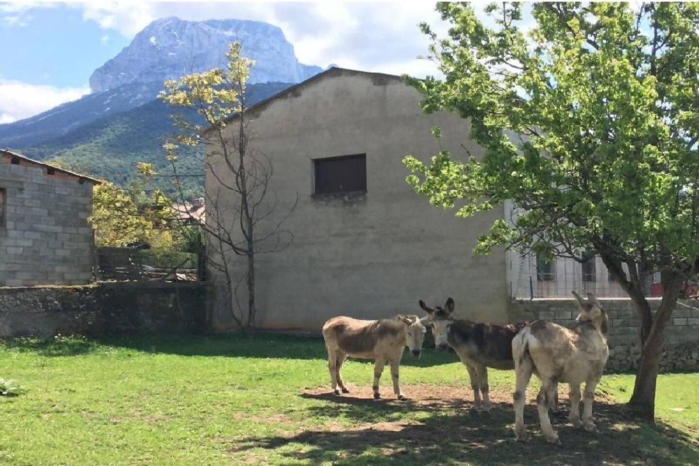 Duplex La Valle Ordesaainsa Laspuña Εξωτερικό φωτογραφία