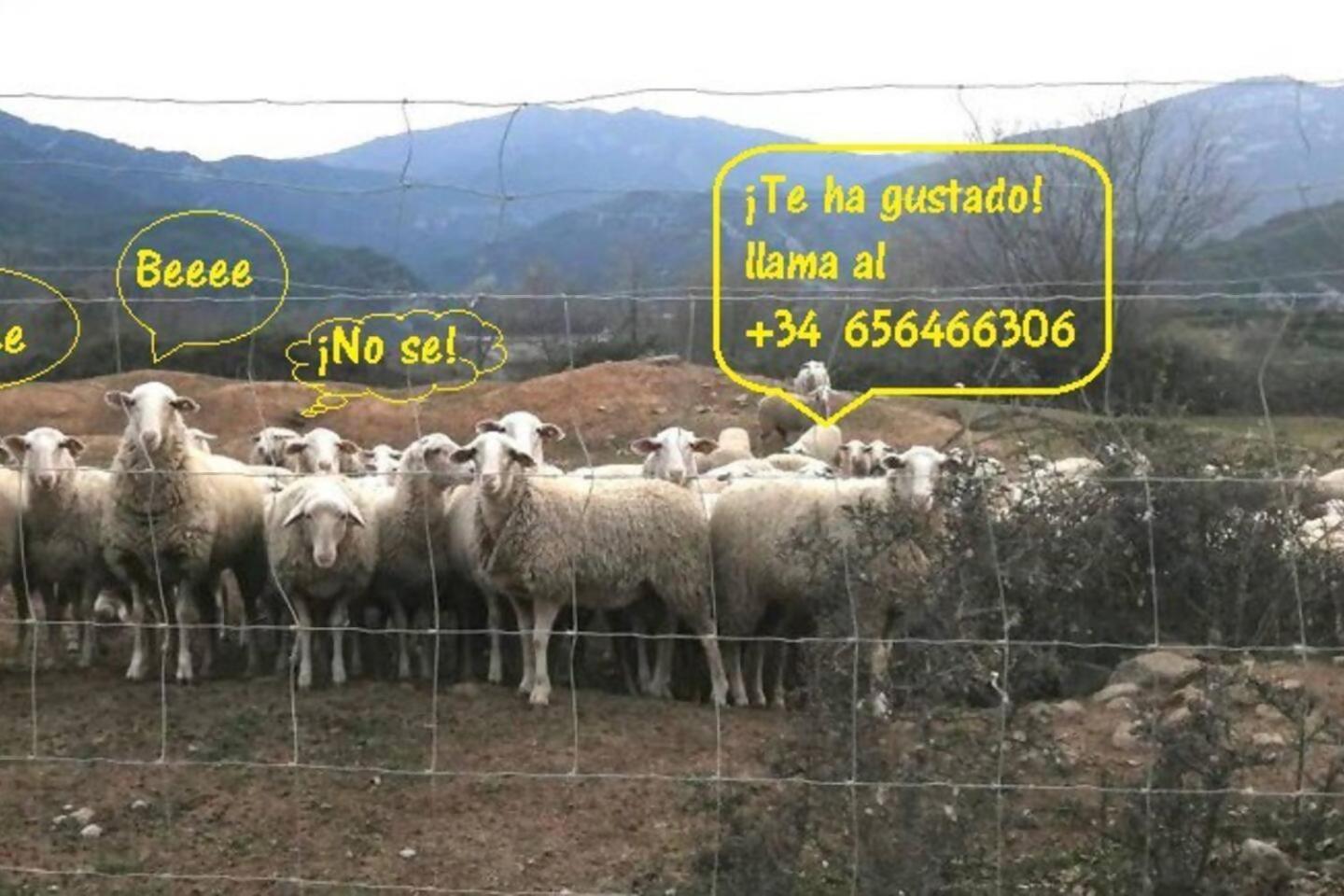 Duplex La Valle Ordesaainsa Laspuña Εξωτερικό φωτογραφία